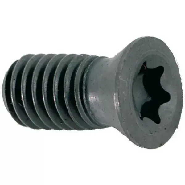 šroub Torx pro RD07 US 25 10ks Ihned K Objednání