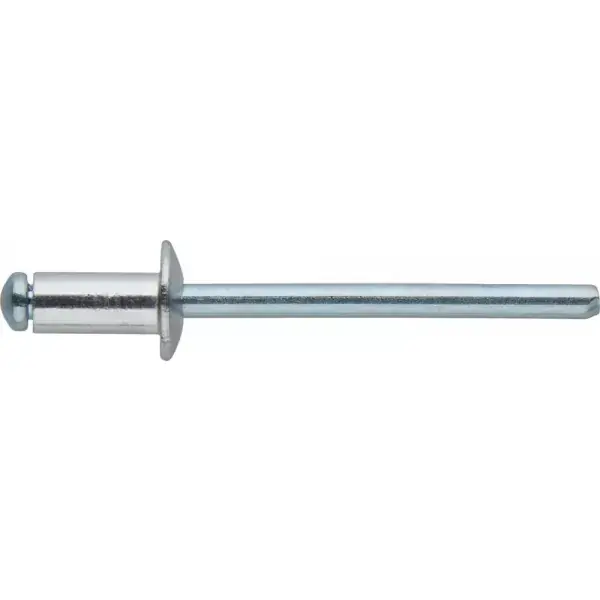 Must-Have Trhací nýt Stand. a100ks. pl.kul.hl 3,2x 8mm FORTIS