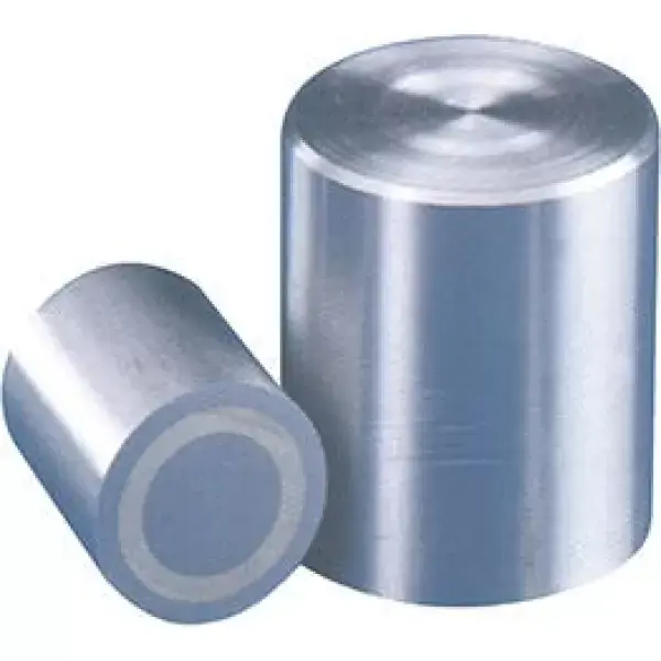 Pouze Dnes Magnetický válečkový chapač 6x10mm FORMAT