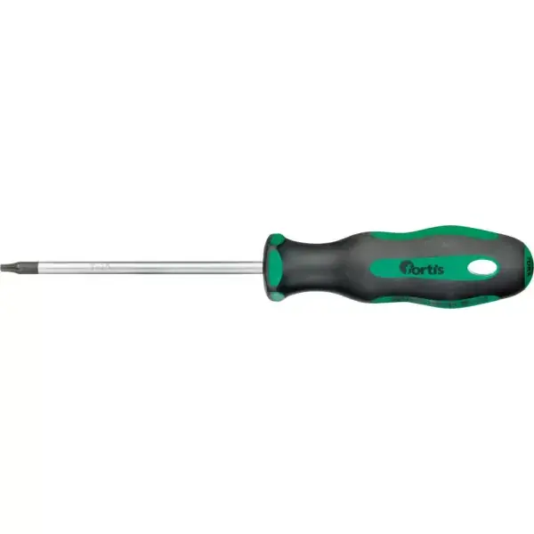 Šroubovák T15x100mm FORTIS Časově Omezené