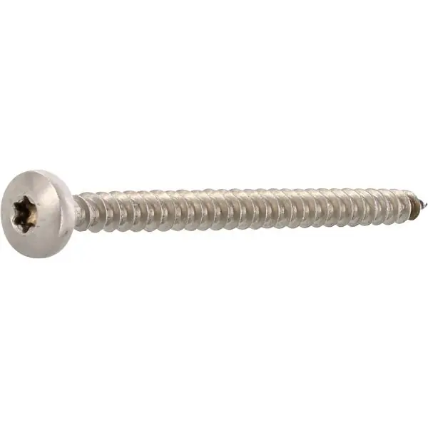 Ověřený Vrut půlkulatá hlava 6.0x 40 plný závit Torx 25, nerez A2