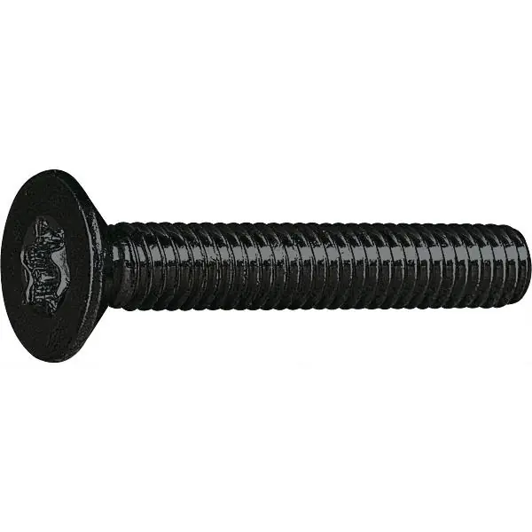 Výhodná Nabídka ISO14581 08.8 M 5x12 Torx 20 šroub se zápustnou hlavou černý pozink
