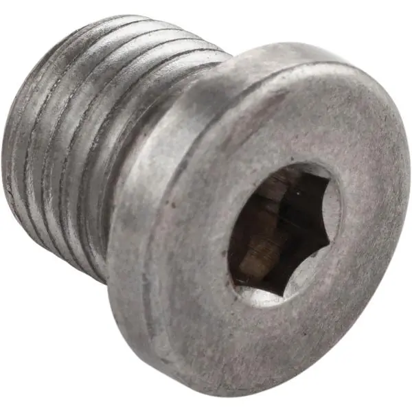 Vrácení Zdarma Zátka s trubkovým závitem DIN 908 5.8 G 1/2", ocel pozink