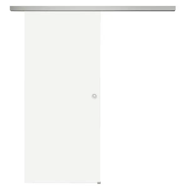 Ihned K Objednání Celoskleněné posuvné dveře sada satinato, 920x2100 mm, posuvné kování stříbrná