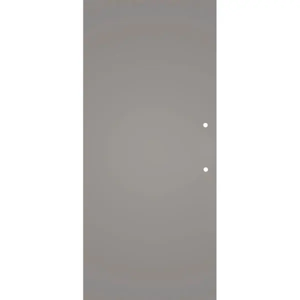 Skleněné posuv. dveře BlackShine,s otvorem pro madlo 920/2100 mm Zlevněný